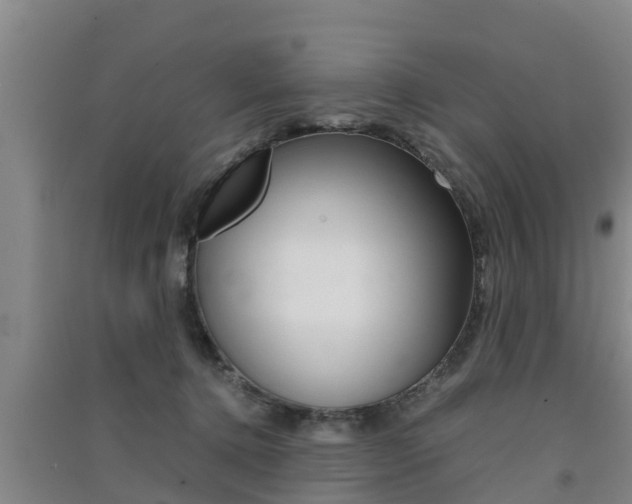 X0000091550368200708171045