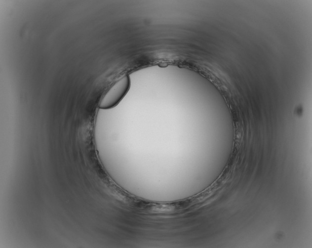 X0000091550369200708171045