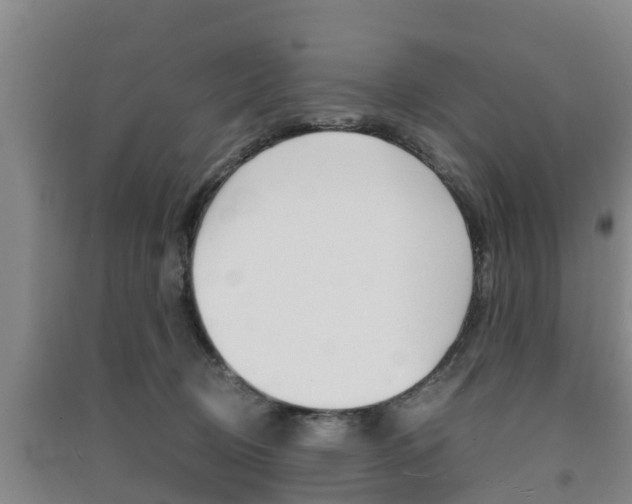 X0000091550370200708171045