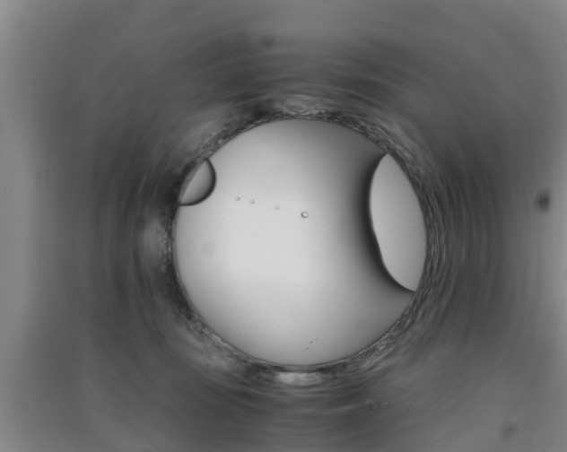X0000091550371200708171045
