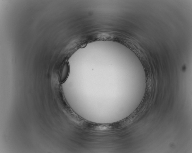 X0000091550375200708171045