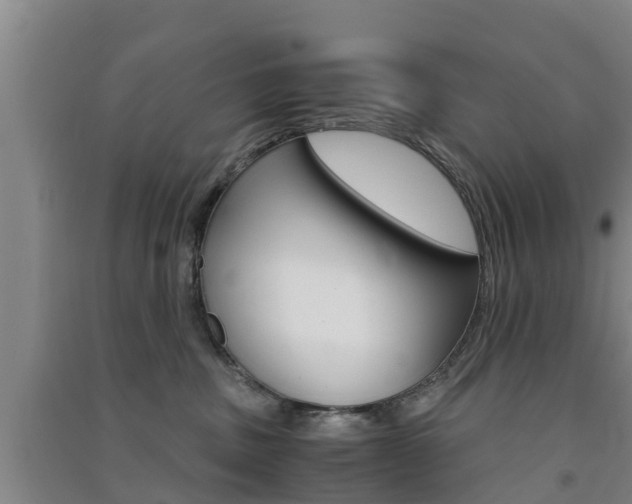 X0000091550379200708171046