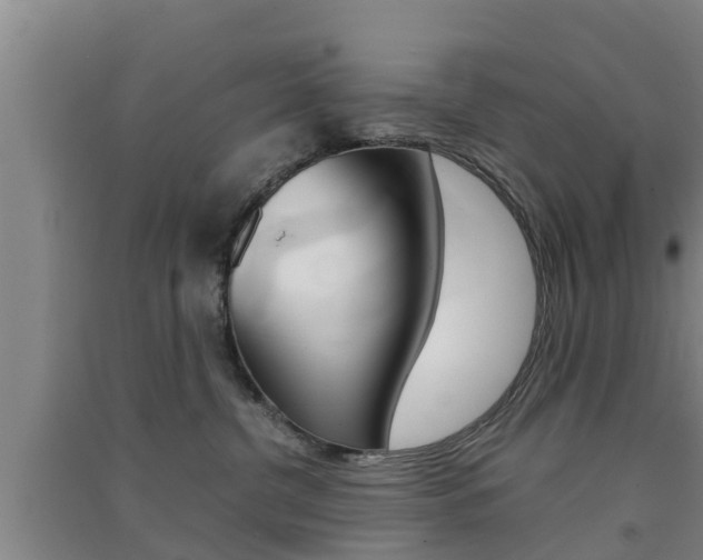 X0000091550380200708171046