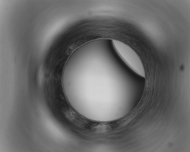 X0000091550383200708171046