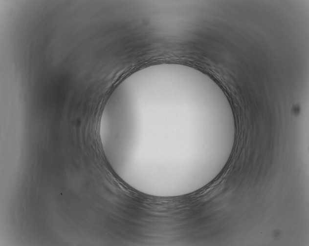 X0000091550384200708171046