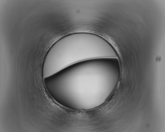 X0000091550385200708171045