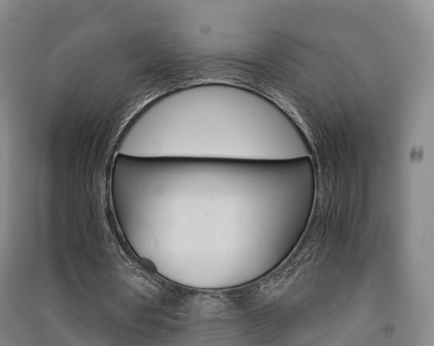 X0000091550386200708171045
