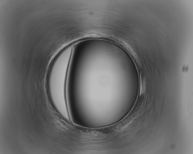 X0000091550387200708171045