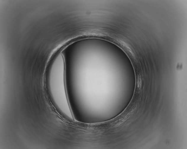 X0000091550388200708171045