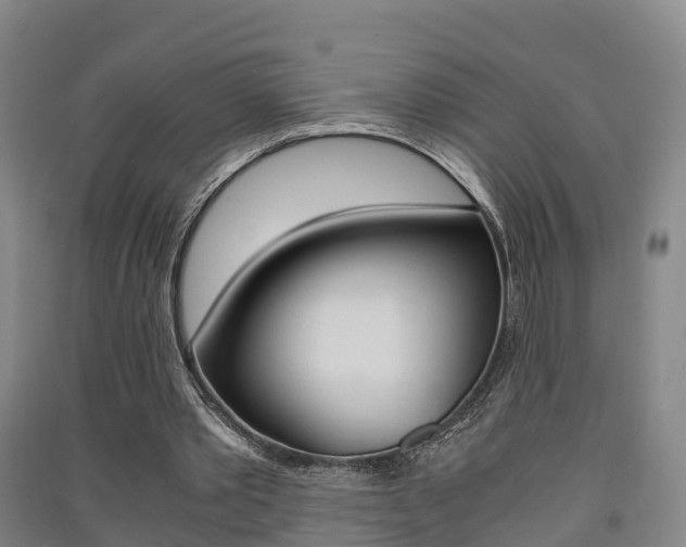 X0000091550389200708171045