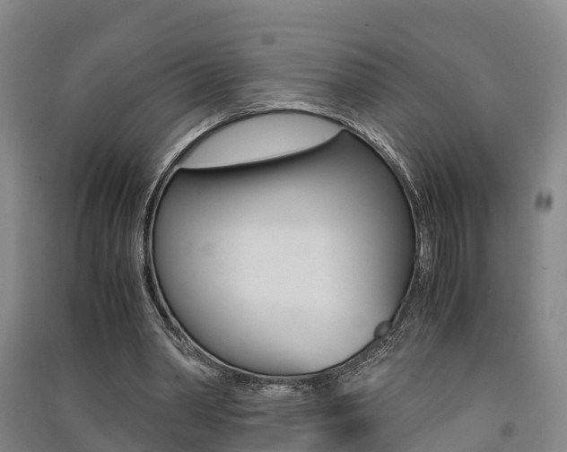 X0000091550390200708171045