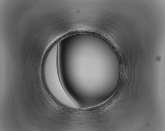 X0000091550391200708171045