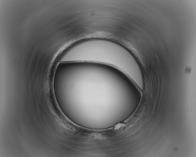 X0000091550392200708171045