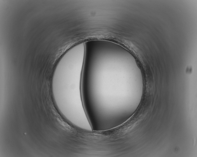X0000091550393200708171045