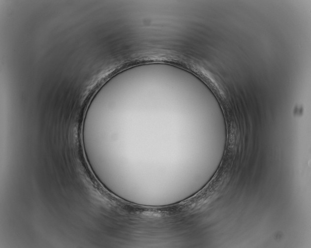 X0000091550394200708171045
