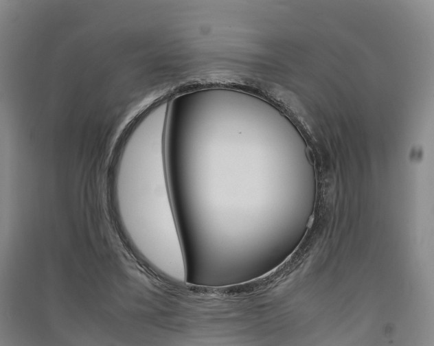 X0000091550395200708171045