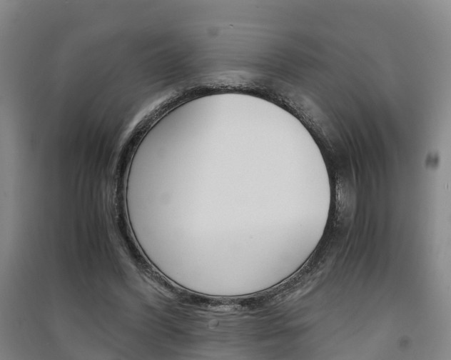 X0000091550396200708171045