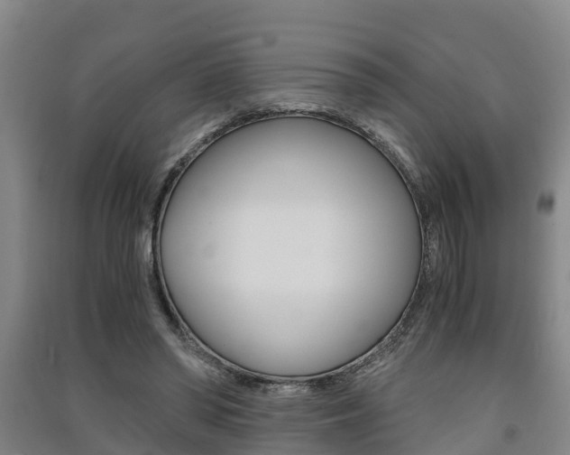 X0000091550398200708171045