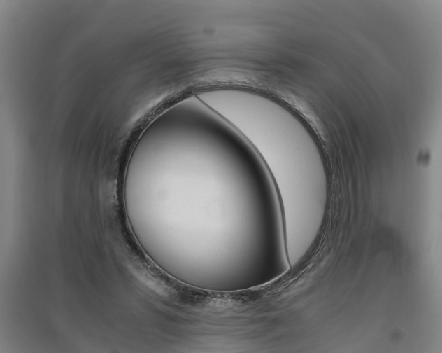 X0000091550399200708171045