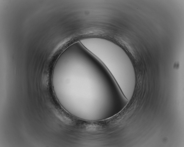 X0000091550400200708171045