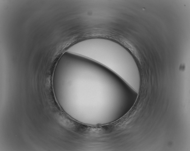 X0000091550401200708171045
