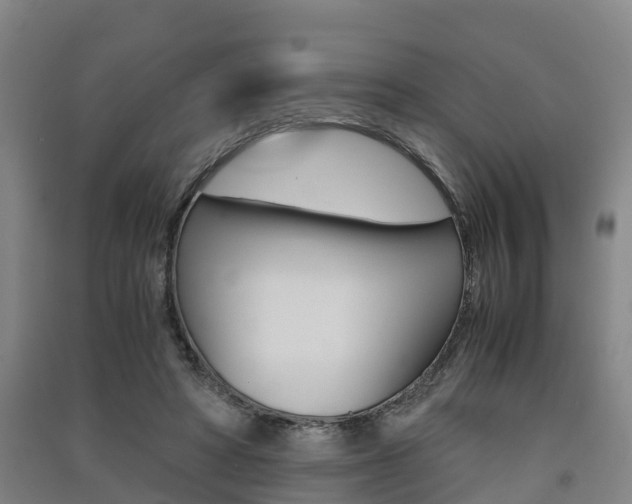 X0000091550402200708171045