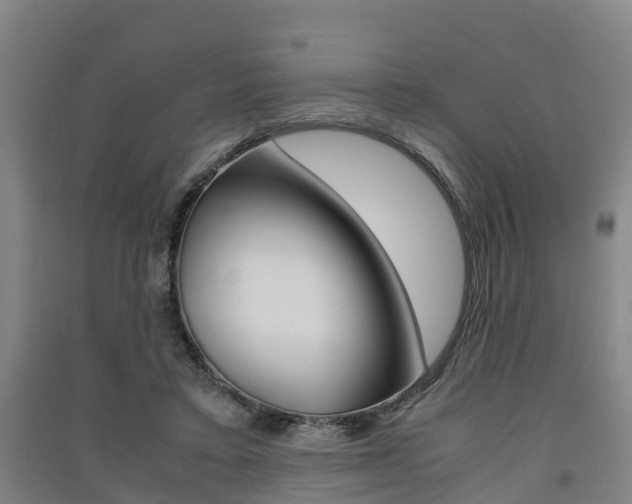 X0000091550403200708171045
