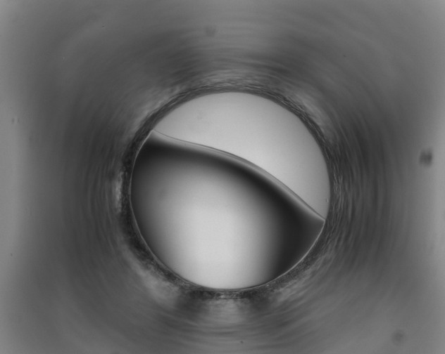 X0000091550404200708171045
