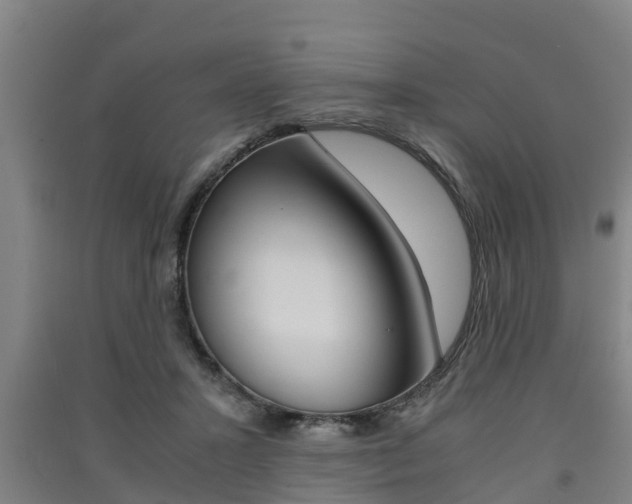 X0000091550407200708171045