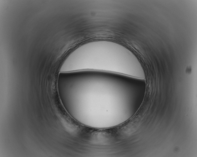 X0000091550408200708171045