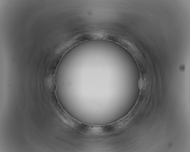 X0000091550409200708171045