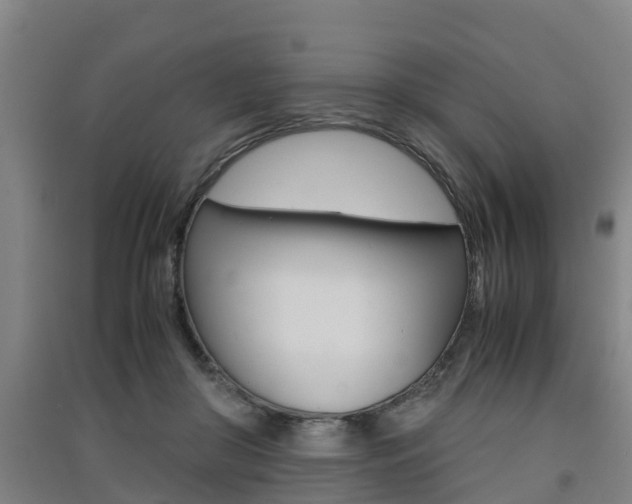 X0000091550410200708171045