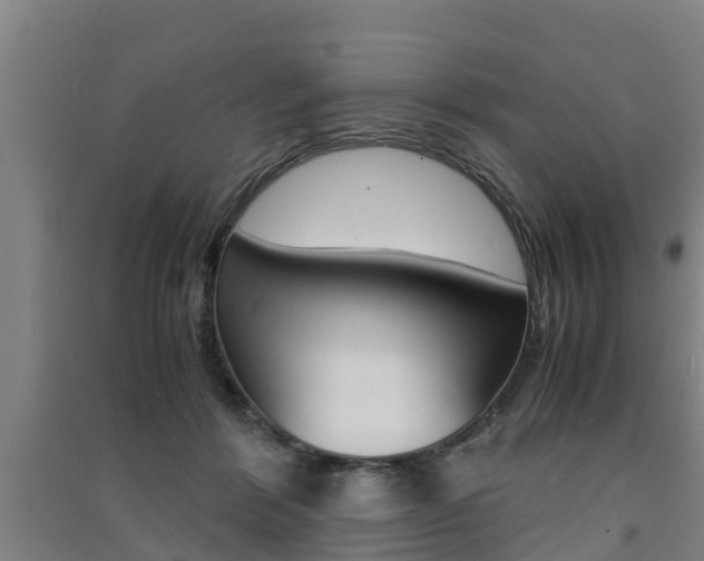 X0000091550412200708171045