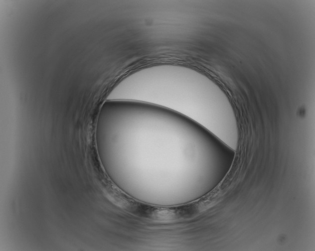 X0000091550413200708171045