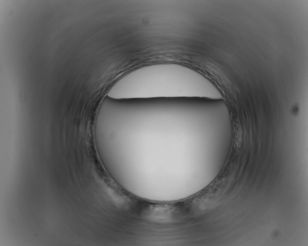 X0000091550414200708171045