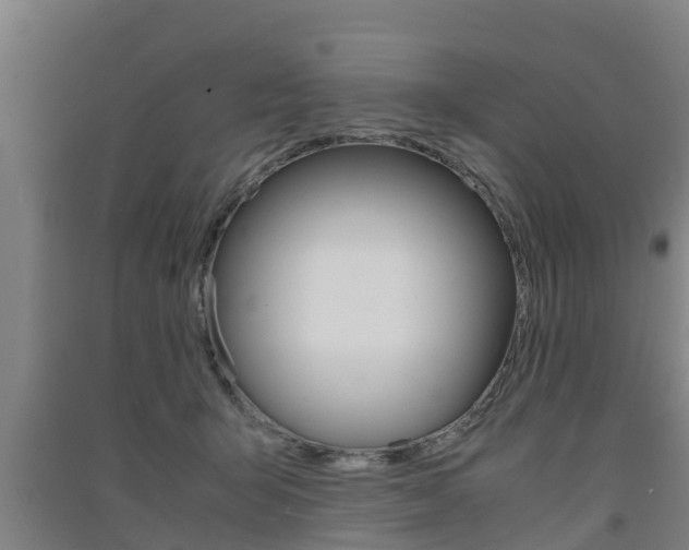 X0000091550415200708171045