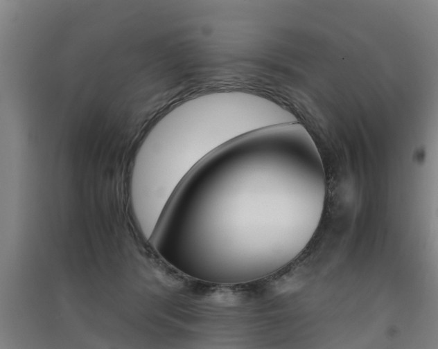 X0000091550416200708171045