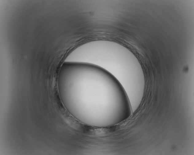 X0000091550417200708171045