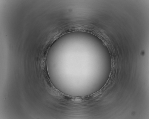 X0000091550419200708171045