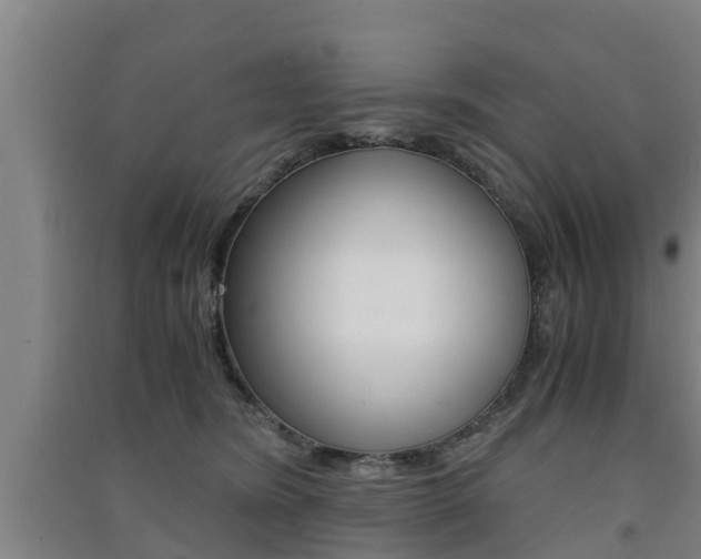 X0000091550420200708171045