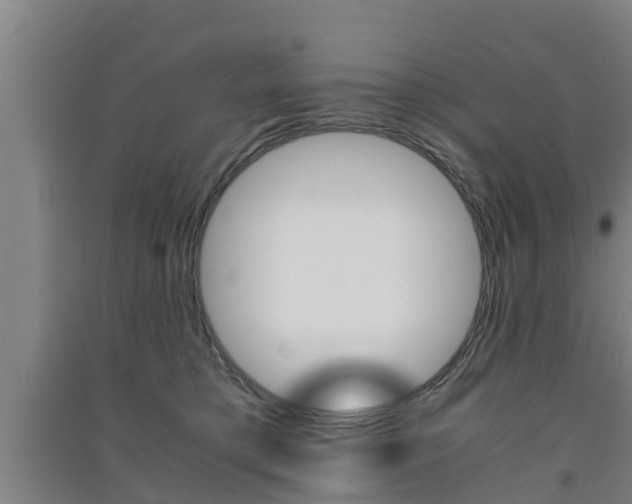 X0000091550421200708171045