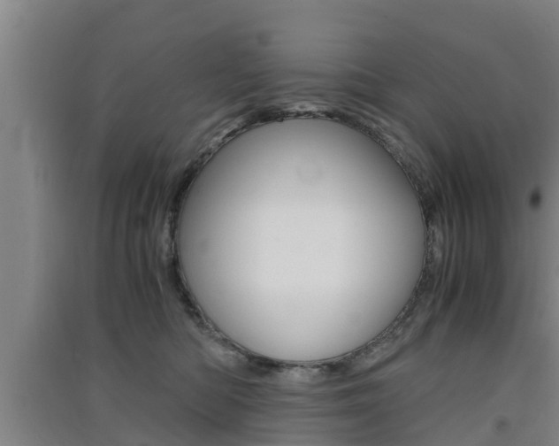 X0000091550422200708171045
