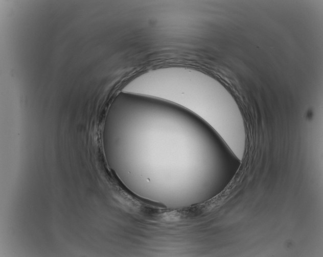 X0000091550423200708171045