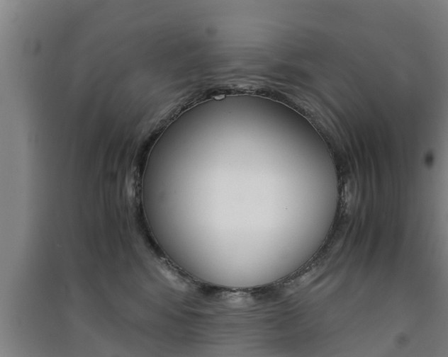 X0000091550424200708171044