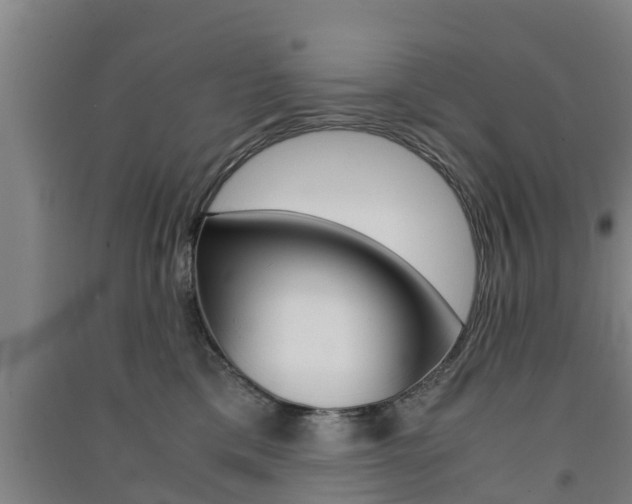 X0000091550425200708171044