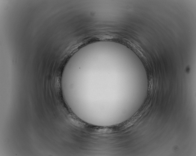 X0000091550426200708171044