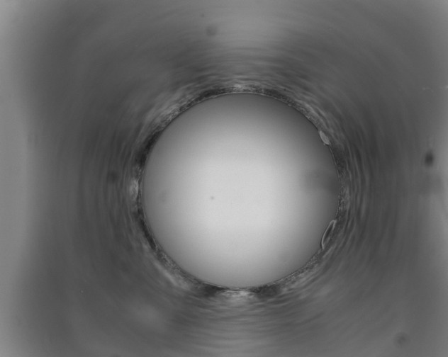 X0000091550427200708171044