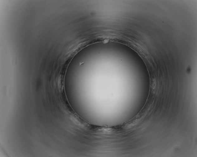 X0000091550428200708171044