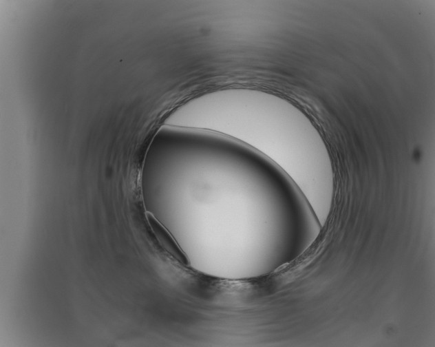 X0000091550429200708171044