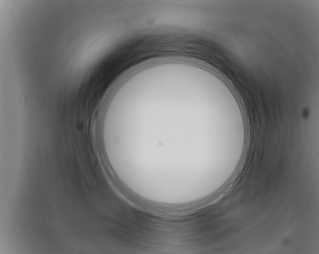 X0000091550431200708171044